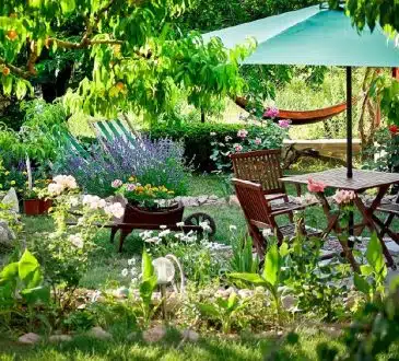 Les plantes faciles à entretenir pour embellir votre jardin