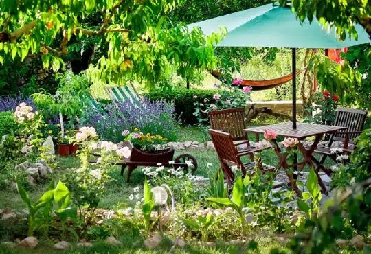 Les plantes faciles à entretenir pour embellir votre jardin