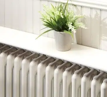 Plante au dessus d'un radiateur