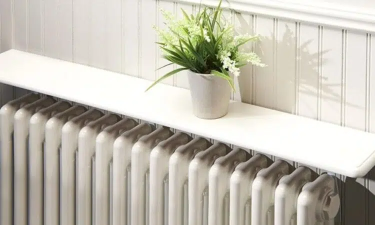 Plante au dessus d'un radiateur