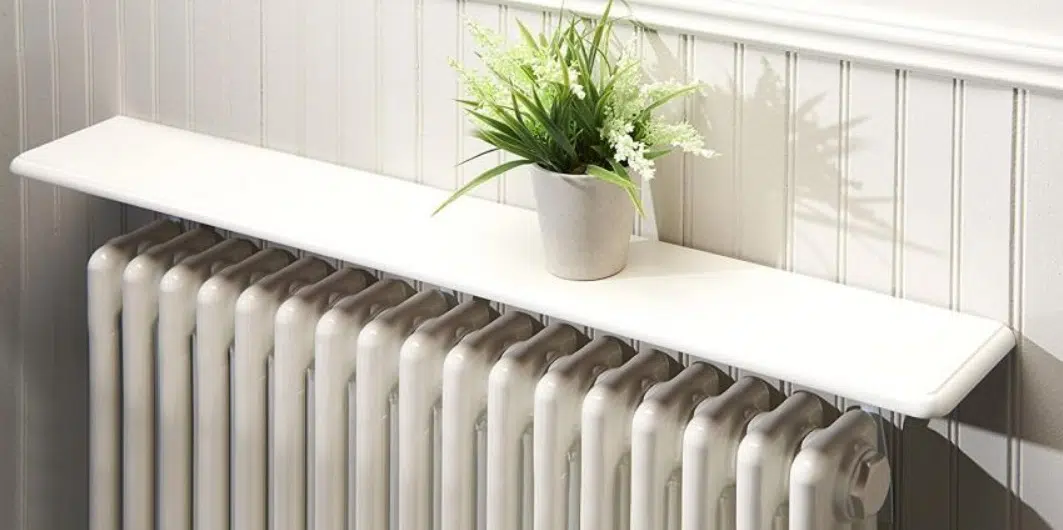 Plante au dessus d'un radiateur