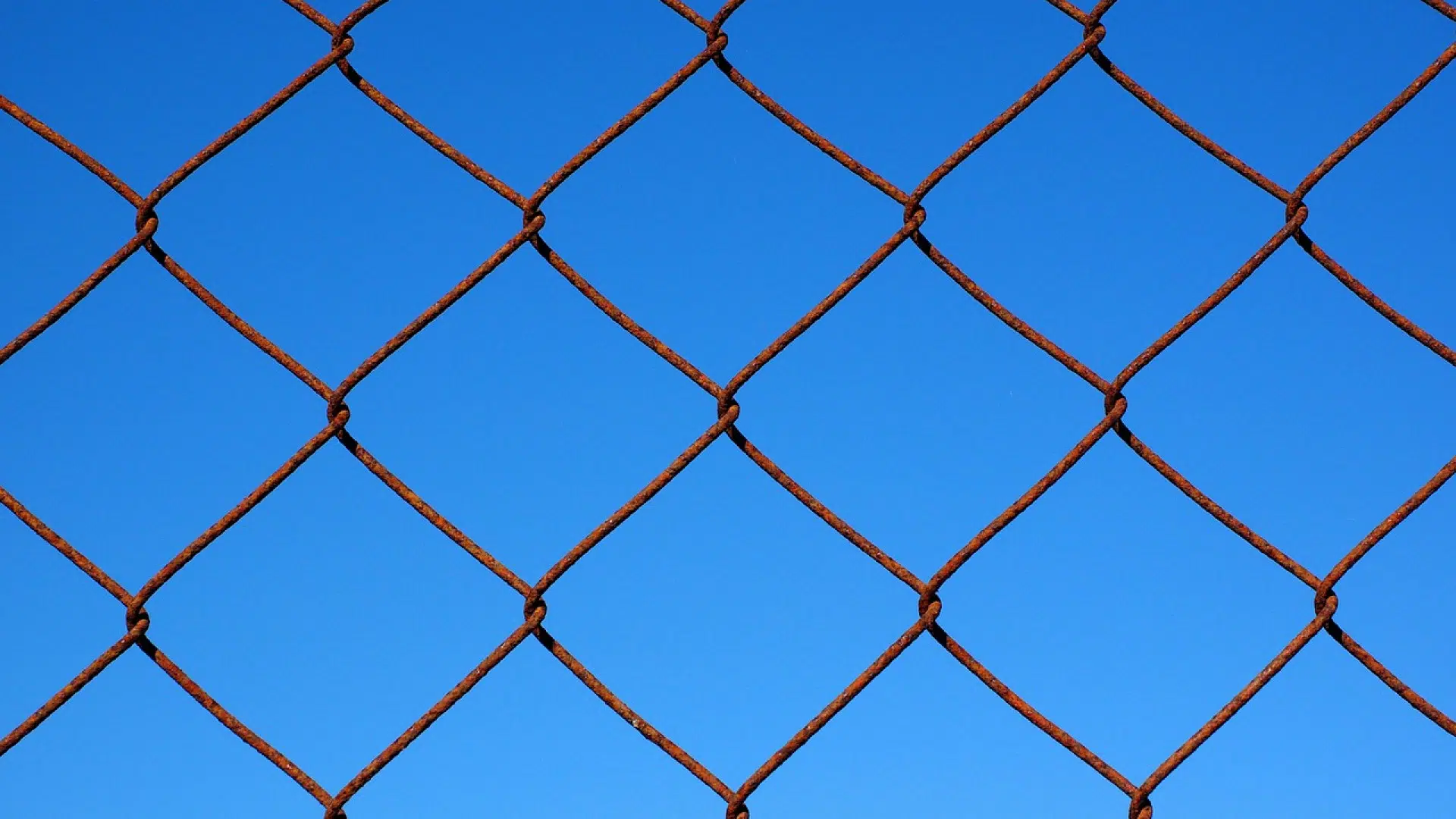 Améliorer la sécurité de sa propriété avec des grillages