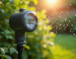 Timer d'arrosage automatique dans un jardin vert ensoleille