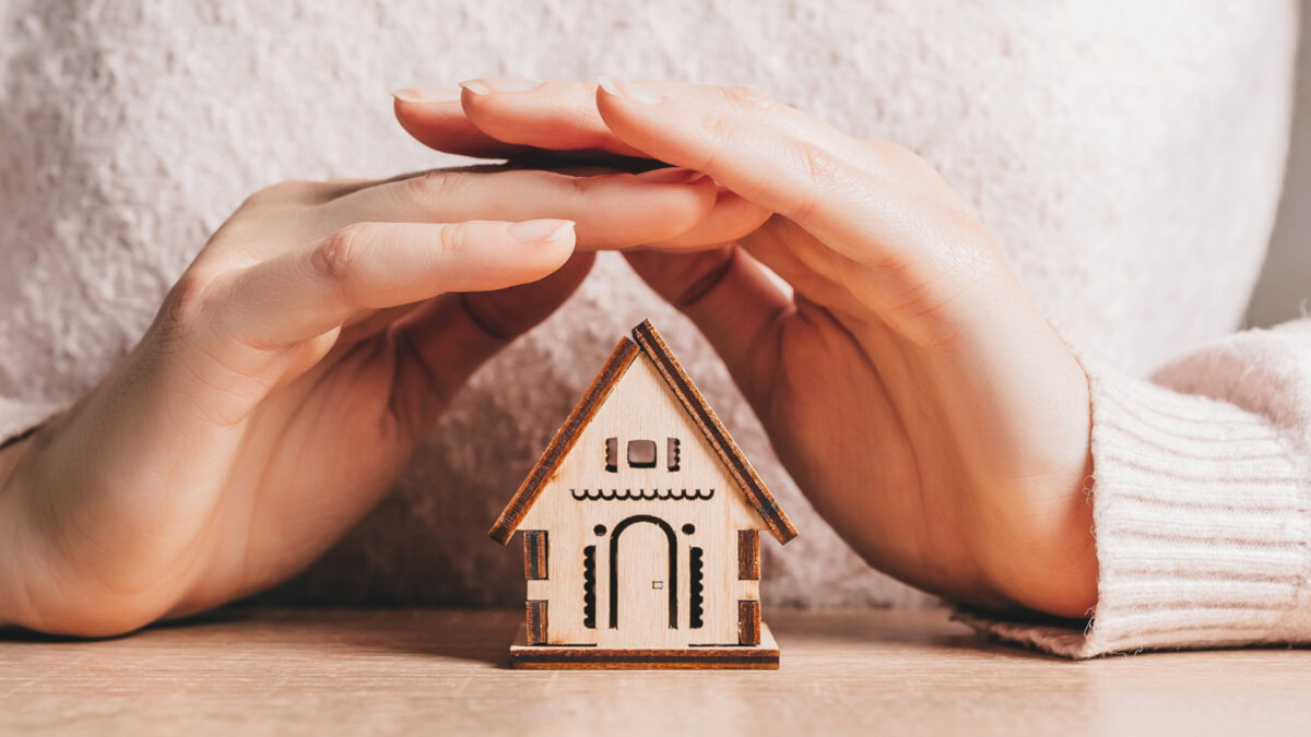 Dératisation à Chambéry : comment protéger votre habitat des rongeurs ?