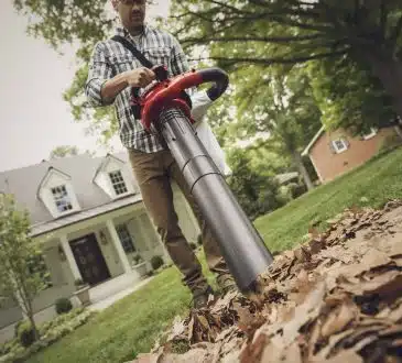 aspirateur a feuille