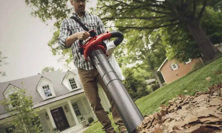 aspirateur a feuille