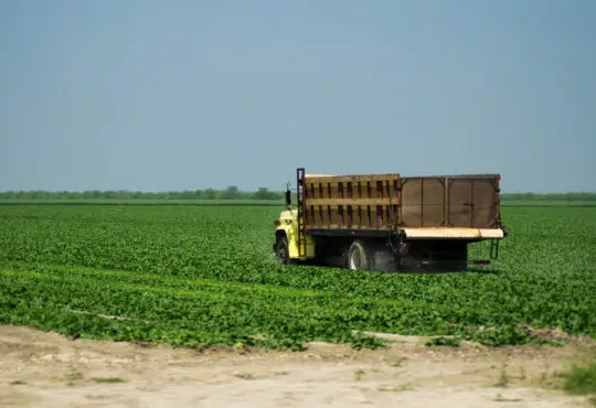 Location de Benne : les avantages