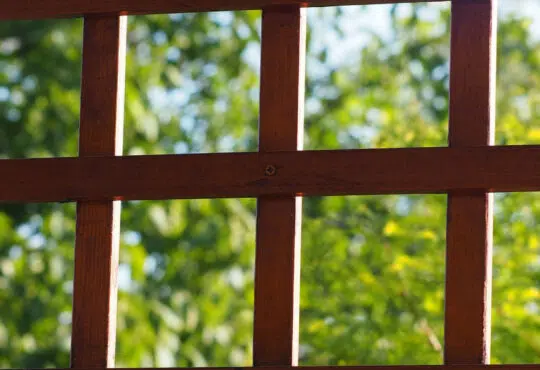 Pourquoi avoir une pergola bioclimatique ?