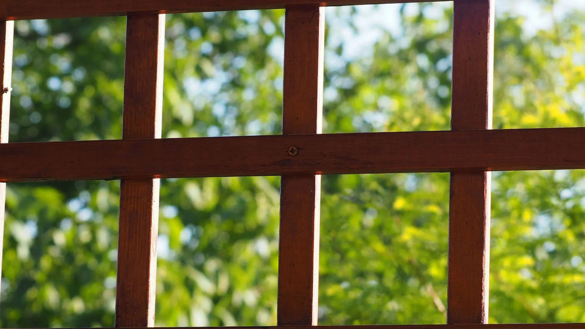 Pourquoi avoir une pergola bioclimatique ?