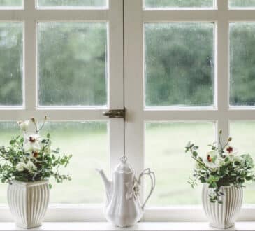 Pourquoi changer vos fenêtres lorsqu'elles sont vétustes ?