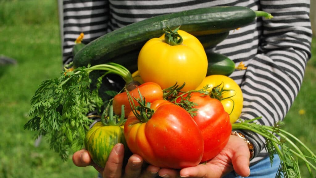 Pourquoi créer un potager bio chez soi ?