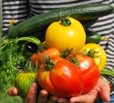 Pourquoi créer un potager bio chez soi ?